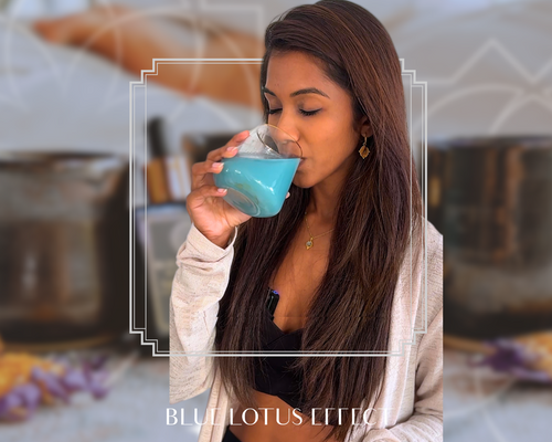 blue lotus tea, blue lotus tincture