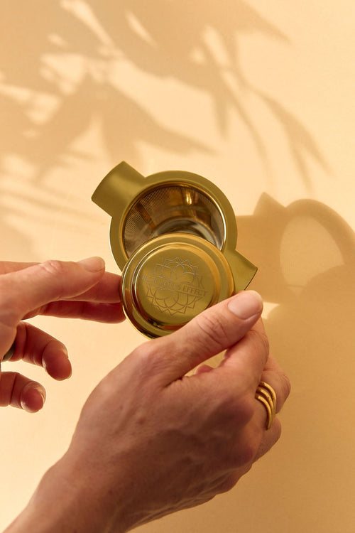 Fine Mesh Gold Filter Tea Strainer