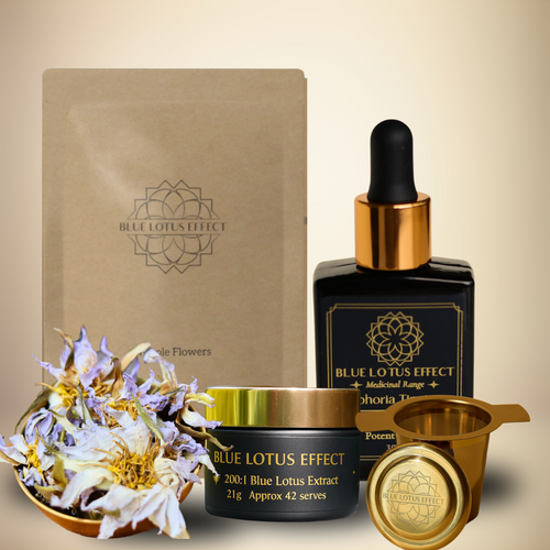 "She Who Remembers" 30% OFF