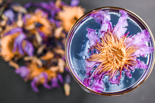 Buy Blue Lotus in Australia: Authentic Tea, Flowers & Tinctures for Modern Ritual