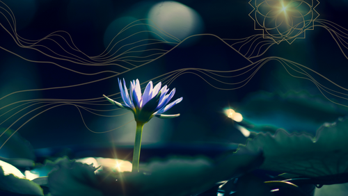 Taste the Enchanting History of Blue Lotus