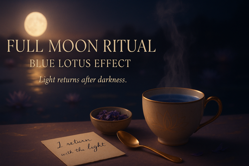 Blue Lotus & the Full Moon: An Ancient Ritual for Modern Calm