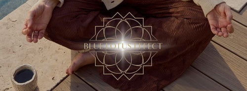 Lotus Wisdom: Staying Rooted in Your Essence
