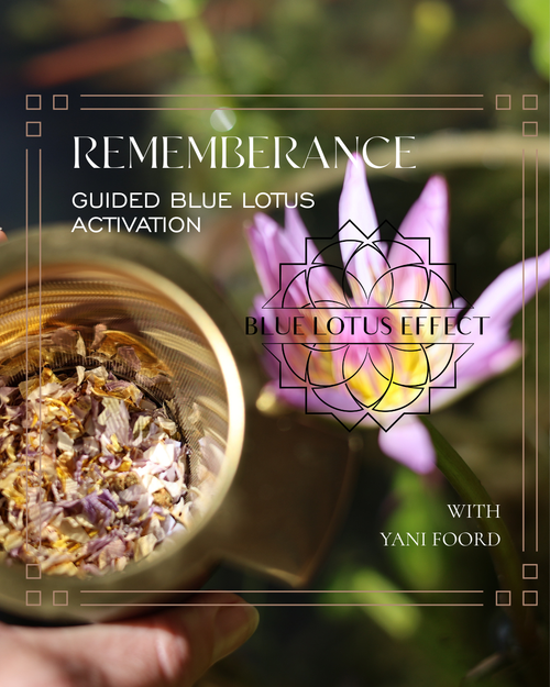 Your Beginning - Blue Lotus Activation (REMEMBRANCE)