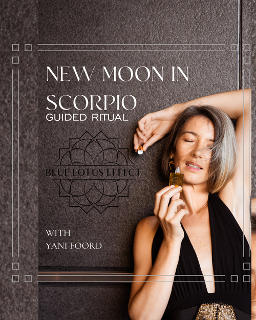 New Moon in Scorpio - Blue Lotus activation with Yani Foord