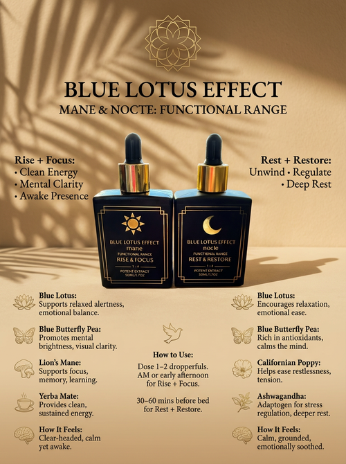 Mane & Nocte : Functional Range