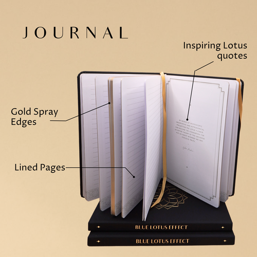 Journal & Pen