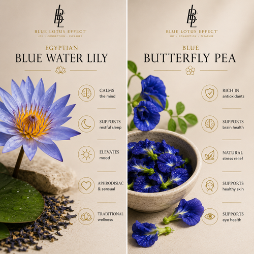 Luxury Blue Lotus Euphoria™️Loose Leaf Blend – 30g